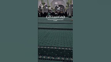 "تلاوة رائعة لفضيلة الشيخ ماهر المعيقلي"