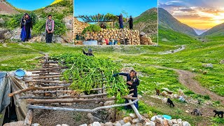 Nomadic Life: Building Traditional Shelters in Zagros Mountains & Survival Struggles 🏔️🏕️🌿🐑