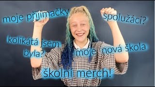 STŘEDNÍ ŠKOLA, MOJE PŘIJÍMACÍ ZKOUŠKY / Storytime / BTS merch! SŠUM