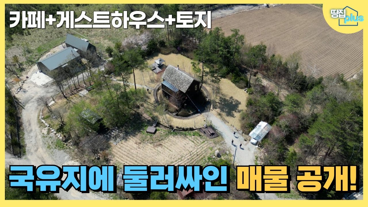 개발 걱정 없는 국유지 한 가운데 숲 속 감성의 카페+게스트하우스+토지 물건 #속사리 카페 #속사리 #게스트하우스 #평창 게스트하우스 #숲속카페