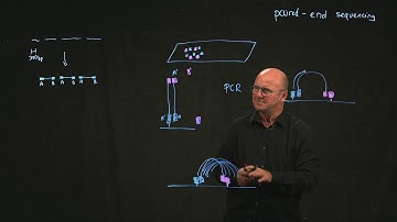 illumina paired end sequencing