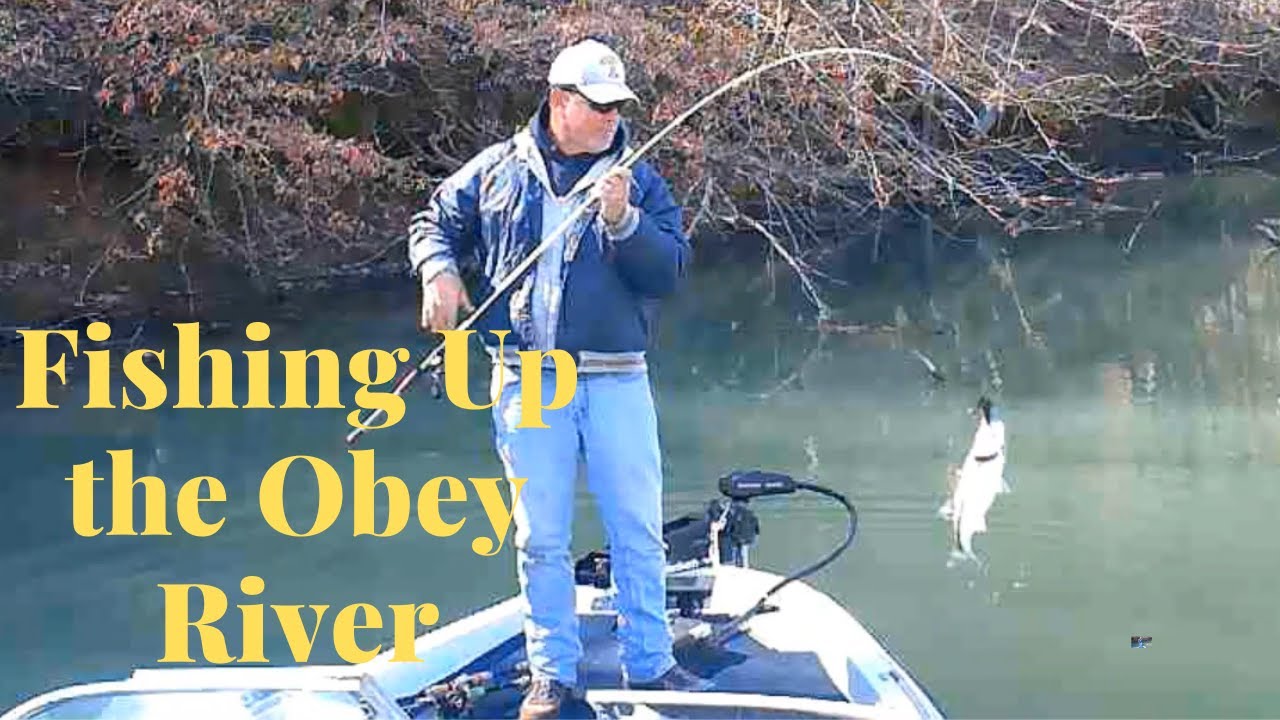 Fishing Up The Obey River on Dale Hollow Lake - YouTube