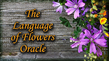 🌸 Language of Flowers Oracle 🌼 || Deck Walkthrough