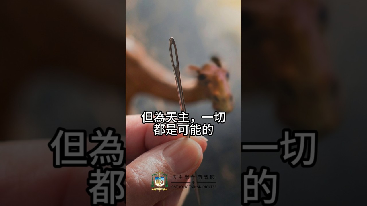 08/18  恭讀聖瑪竇福音　19:23-30   駱駝穿過針孔，比富人進入天國還容易。