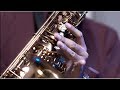 VIRGOUN - BUKTI (Cover) Saxophone by Theo & David