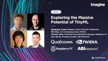 Exploring the Massive Potential of TinyML