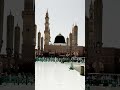 Sallallahu alayhi wa alehi wasallam status viral ytshorts madina