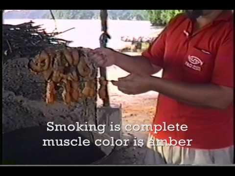 Village Smoker for Giant Clam Meat