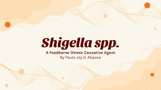 The Basics of Shigella sp. by Paula Joy Aliposa