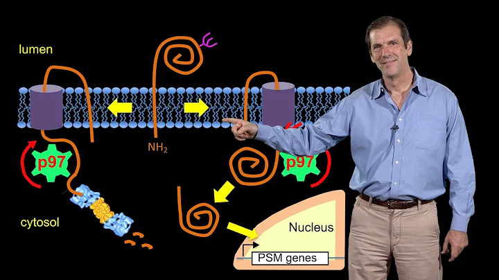 Deshaies (Amgen) 3: Targeting the ubiquitin-protea...