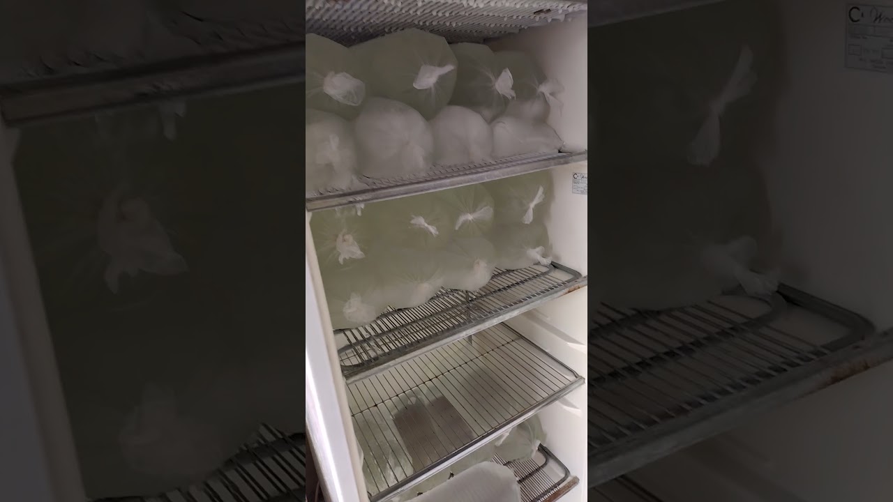 Heavy-Duty Ice Block Freezer