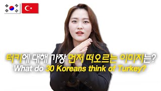 What 30 Koreans Think of Turkey? / Hoontamin