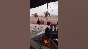 سعدي البياتي موال اهلك شالو علي حمص وحماة 