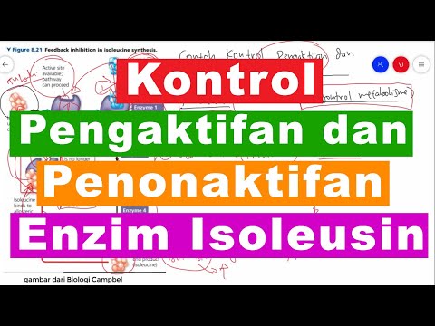 Video: Bagaimana enzim mengontrol metabolisme?