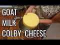Homemade Colby Cheese Made From Goat's Milk
