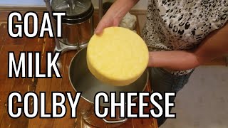 Homemade Colby Cheese Made From Goat's Milk