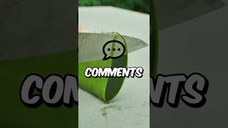 Are You A Super Rich Kid Edition Put A Finger Down