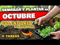 QUE SEMBRAR y PLANTAR en OCTUBRE 2021 | Calendario de Siembra + TAREAS | Hemisferio Norte y Sur