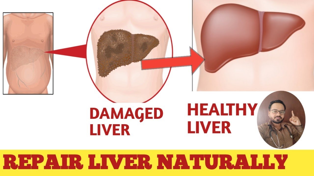 repair liver