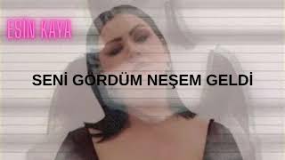 Esin Kaya - Seni Gördüm Neşem Geldi (Remix)