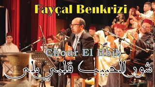 Fayçal Benkrizi - Chour El Hbib (cheikh alaoui)