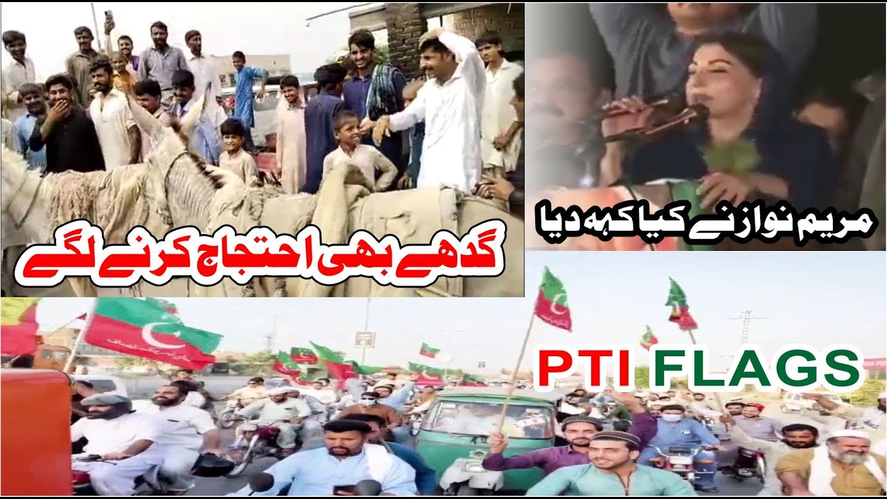 mariam nawaz hight price in pakistan love videos viral trending YouTube