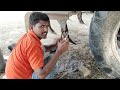 सुबह में पेले चाय || good morning se pele tea