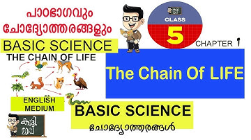 The chain of life |   Class 5 Basic Science chapter 1 |  English medium Unit 1 | Question Answer
