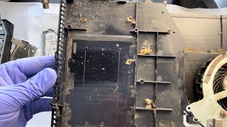 Cleaning a disgusting PS4 (Cockroach Warning)