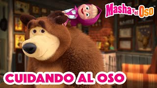 Masha y el Oso 2024 🐻👱‍♀️ Cuidando al Oso 🐾👣 1 hora 🤗 Dibujos animados 🎬 Masha and the Bear