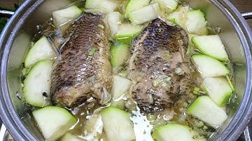 Canh Bầu Cá Rô-CÁ RÔ NẤU CANH BẦU món canh cho bữa cơm gia đình cách nấu đơn giản cá không tanh