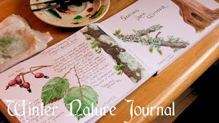 Painting Winter Plants in my Nature Journal