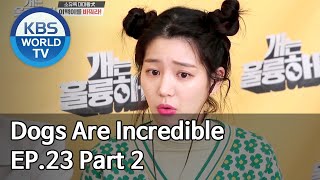 Dogs are incredible | 개는 훌륭하다 EP.23 Part 2 [SUB : ENG/2020.04.29]