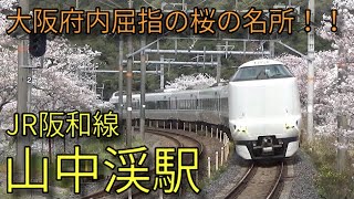 JR阪和線　特急くろしお　山中渓駅