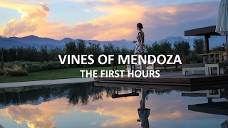 Mendoza Series: The First Hours at Vines of Mendoza
