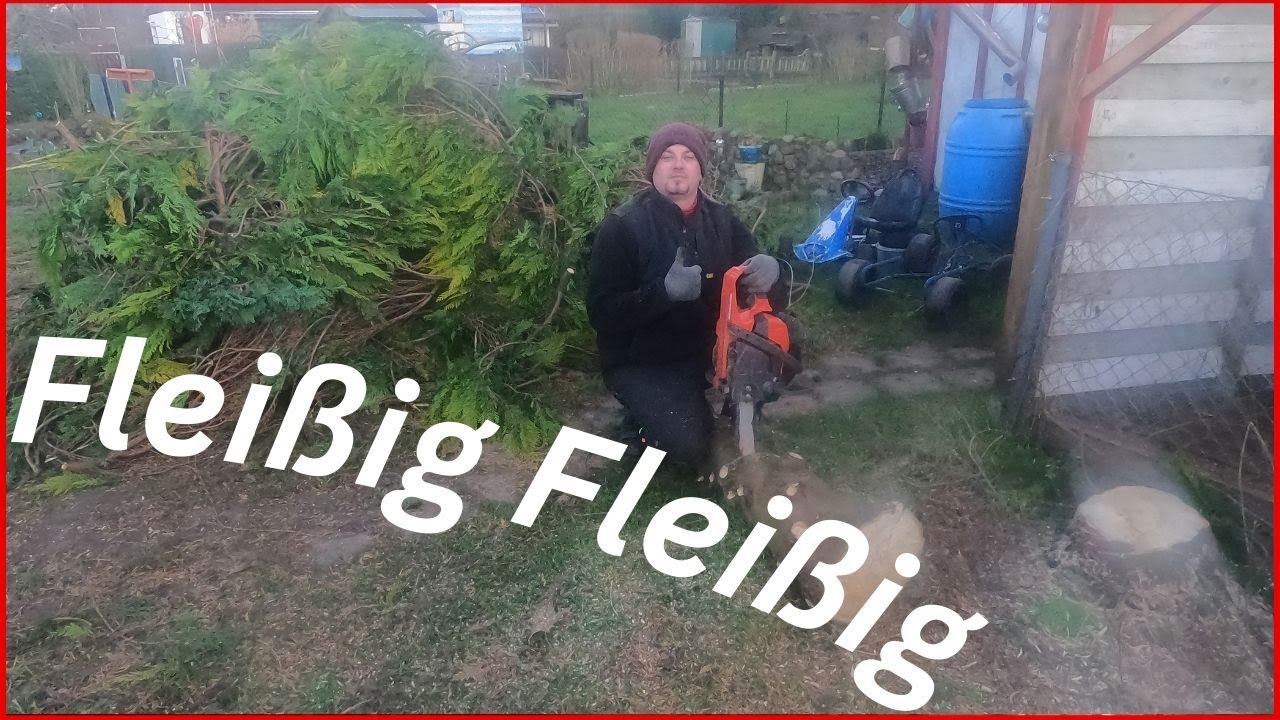Koniferen kommt wegen...Hecke & Stäucher schneiden...