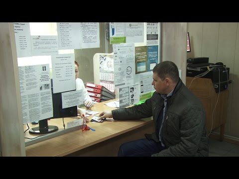 МФЦ производит замену водительских прав