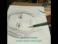 Portrait Drawing From Inspiration 4/4 (file: shotcut 20240514 045409) #shotcut #portraitdrawing