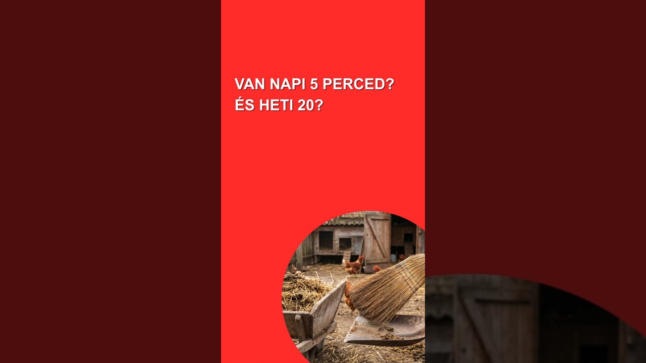 Mennyi idő a tyúkot rendbe tartani? Gina megmutatja a valóságot 7/15