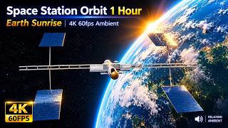 Space Station Orbit 1 Hour | Earth Sunrise 4K 60fps Ambient