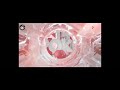 M1 Ukraine Adv Ident Winter 2016 2017 
