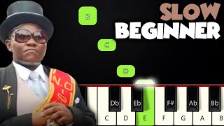 Vignette de la vidéo "Coffin Dance | SLOW BEGINNER PIANO TUTORIAL + SHEET MUSIC by Betacustic"