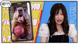 【TikTok】おもしろ動物動画で笑ったら超キツイ罰ゲーム…！ 三原羽衣/横田未来/もか (超十代)