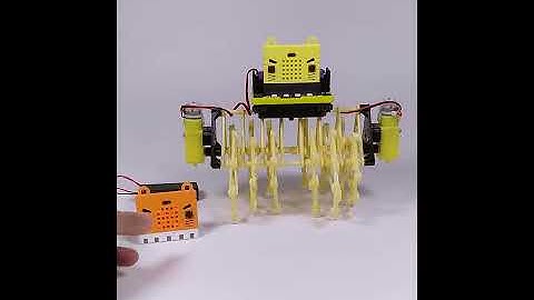 Microbit Project _ MR STEMer MR Beast