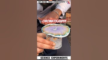 paper chromatography | detect duplicate signature #physics #experiment #shorts