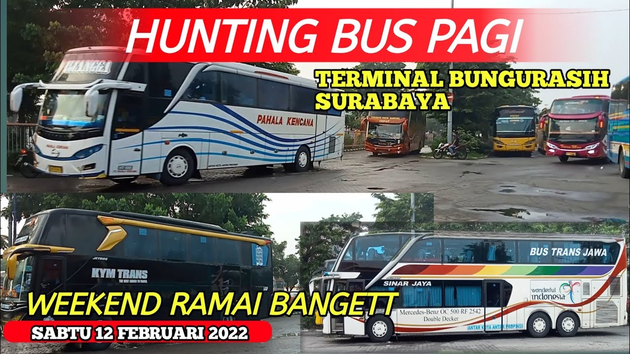 Suasana Terminal Bus Surabaya Hari ini‼️ bus keberangkatan pagi terminal Bungurasih !! Ramee bangett