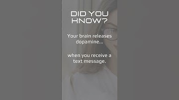 Unlocking Dopamine: The Brain