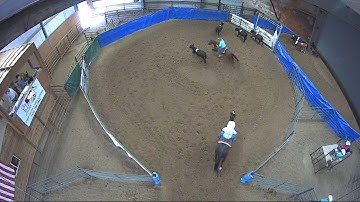 Big Sky Ranch Sorting Saddle Series #5 - #9 - Round #2 - Ride #1