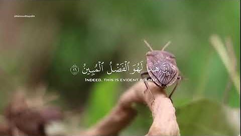 سورة النمل من الاية 15 الى الاية 44