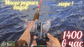 Russian Fishing 4 Море радует !⭐🌟 Редкими 🌟⭐  видами! Точка роздает!